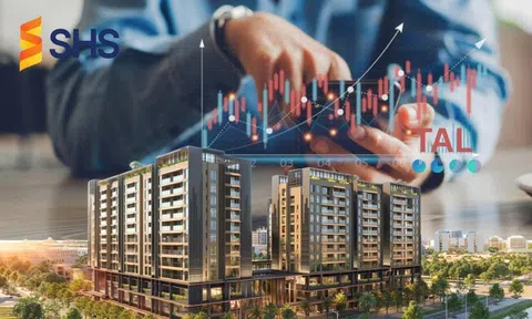 SHS dẫn đầu tổ chức nội rót vốn vào Taseco Land