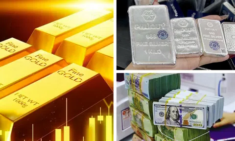 Giá vàng tăng thêm 500.000 đồng/lượng