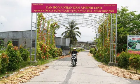 Đồng Tháp: Công nhận huyện Cao Lãnh đạt chuẩn nông thôn mới nâng cao