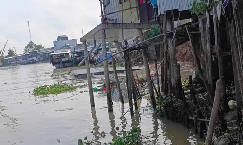 An Giang tăng cường phòng, chống thiên tai