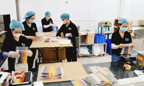 Đồng Tháp: Triển khai hỗ trợ doanh nghiệp nhỏ và vừa lĩnh vực tài chính năm 2025