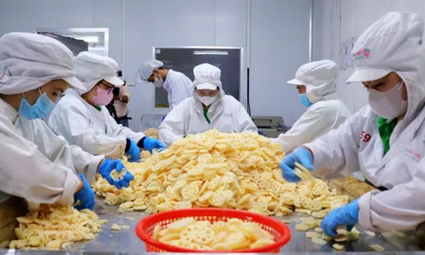 Ngành nông nghiệp Đồng Tháp hướng đến phát triển bền vững