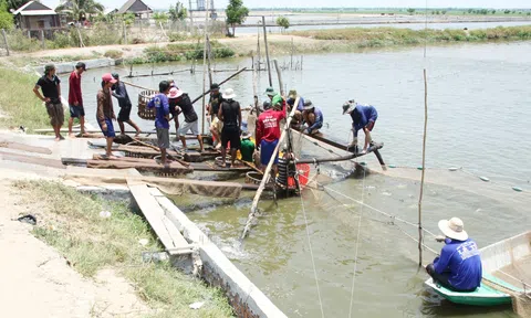 Đồng Tháp sau sáp nhập: Mở rộng không gian nông nghiệp, gia tăng giá trị nông sản