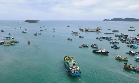 An Giang: Chống khai thác IUU với tinh thần 6 rõ