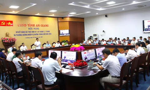 Hơn nửa năm 2025, An Giang tăng 12,5% số lượng doanh nghiệp thành lập mới