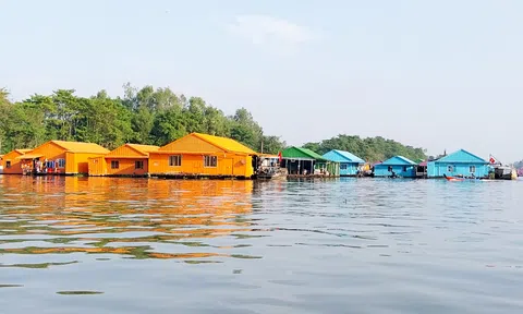 Độc đáo làng nổi trên sông ở An Giang