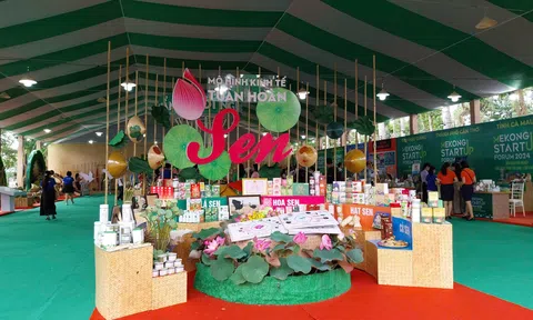 Sản phẩm OCOP ở Đồng Tháp phát triển theo hướng xanh