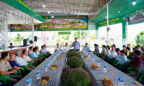 Đồng Tháp chuẩn bị kỹ lưỡng festival hoa kiểng Sa Đéc lần 2