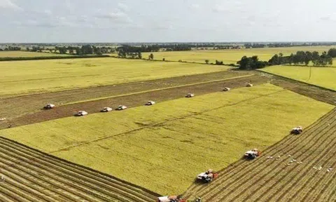 Tỷ phú nông dân An Giang được đề cử nhận Bằng khen Thủ tướng Chính phủ