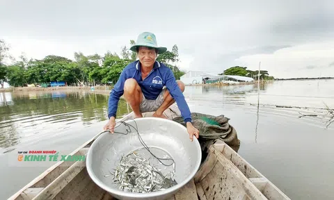 Mùa lũ Đồng bằng sông Cửu Long - Bài 2: Sản vật vào mùa, nông dân có thêm thu nhập