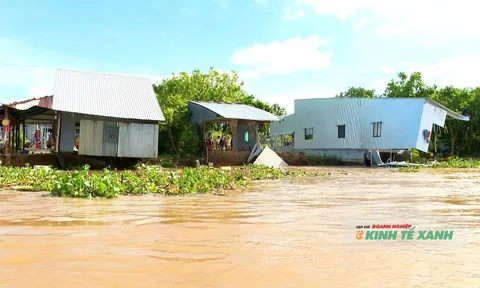 7 hộ dân ở Đồng Tháp bị ảnh hưởng do sạt lở dài 100m