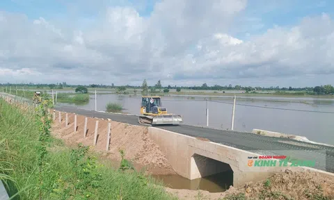 Tháng 10, tuyến Cao Lãnh - Lộ Tẻ hoàn thành, đưa vào sử dụng