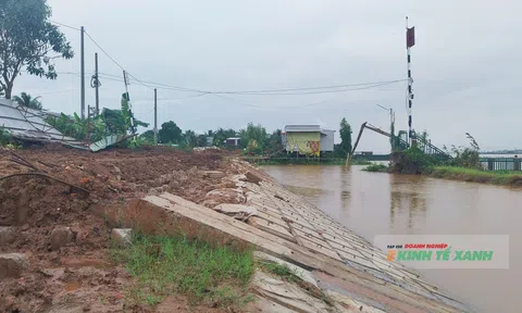 Dự án xử lý sạt lở ở Đồng Tháp vướng mặt bằng thi công