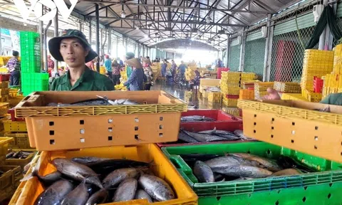 Đồng Tháp: Tập trung thực hiện tháng cao điểm chống khai thác IUU