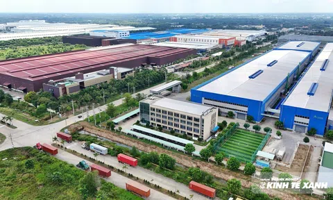 Đồng Tháp: Định hướng phát triển công nghiệp và kinh tế tư nhân