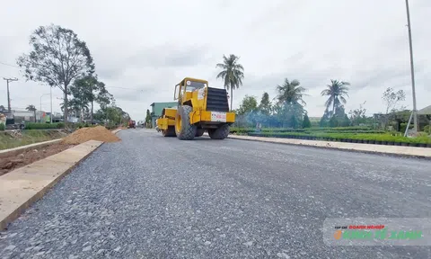 Tăng tốc hoàn thành dự án phục vụ Festival Hoa - Kiểng Sa Đéc lần 2