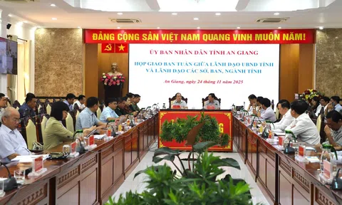 Tỉnh An Giang có 3.585 doanh nghiệp thành lập mới