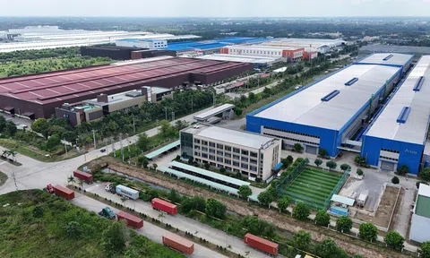 Phấn đấu trên 30% doanh nghiệp nhỏ và vừa ở Đồng Tháp ứng dụng công nghệ số