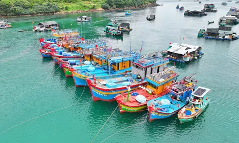 An Giang: Triển khai các nhiệm vụ chống khai thác IUU