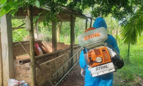 Đà Nẵng xin hỗ trợ 10 tấn hóa chất từ dự trữ quốc gia để phòng chống dịch tả lợn Châu Phi