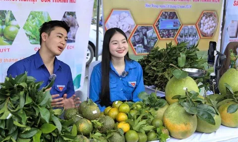 Đà Nẵng đẩy mạnh phát triển hệ thống sản phẩm OCOP gắn với du lịch