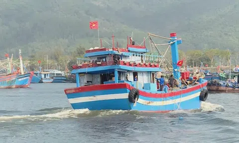 Đà Nẵng quyết liệt xóa “tàu cá 3 không”, siết chặt chống khai thác IUU