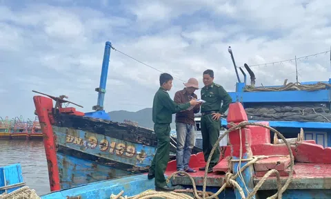 Đà Nẵng mở đợt cao điểm kiểm soát khai thác hải sản bất hợp pháp
