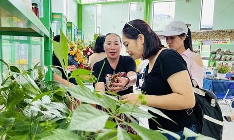 Kinh tế tuần hoàn – lời giải cho nông nghiệp Đà Nẵng trong kỷ nguyên xanh