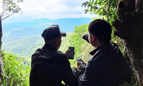 Công nghệ – chìa khóa bảo vệ rừng bền vững