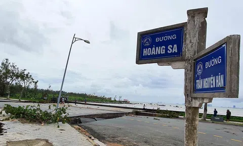 Đà Nẵng đầu tư hạ tầng bền vững bảo vệ và phát triển bán đảo Sơn Trà