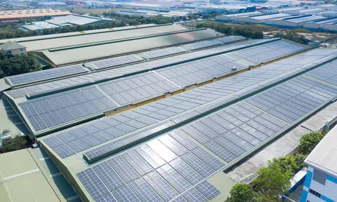 Tập đoàn Xây dựng Hoà Bình hợp tác cùng doanh nghiệp Scotland phát triển năng lượng mặt trời