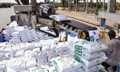 Giá phân bón tăng cao khiến nông dân Long An gặp khó