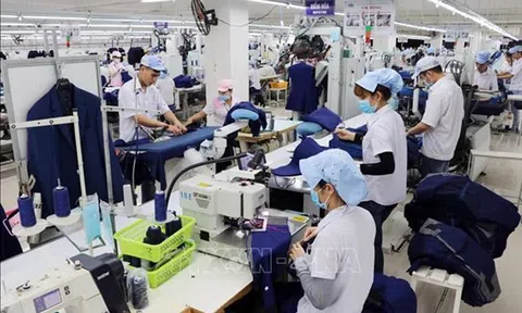 Chính sách hỗ trợ doanh nghiệp và người lao động của Chính phủ tuần từ 18-23/10