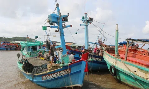 Biển đảo Việt Nam: Hỗ trợ, tạo thuận lợi cho ngư dân vươn khơi trở lại