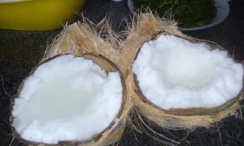 Dừa sáp Trà Vinh lần đầu tiên được tiếp thị chính thức tại Australia