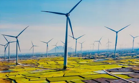 Có 42 nhà máy điện gió được công nhận vận hành thương mại