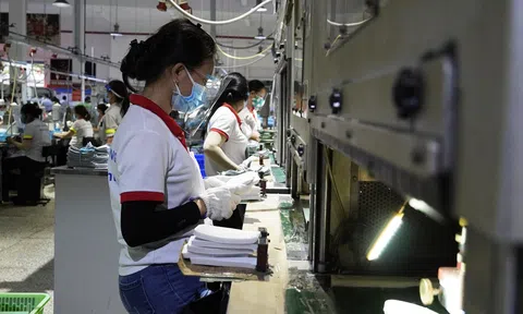 Nhiều doanh nghiệp tại Long An đã hoạt động trở lại