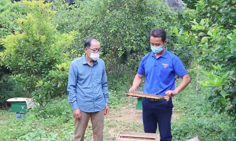 Hướng đi mới cho hiệu quả kinh tế cao của nông dân Than Uyên