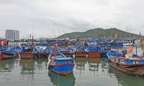 Kiên Giang đầu tư nâng cấp cảng cá