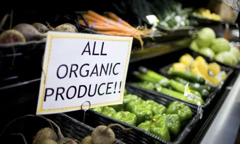 Mỹ "thua" châu Âu trong sản xuất thực phẩm hữu cơ