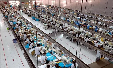 Hợp tác thương mại là động lực thúc đẩy quan hệ giữa hai nước Việt Nam - Hoa Kỳ