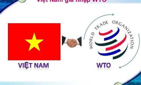 15 năm gia nhập WTO - Việt Nam khẳng định vị thế trên đại lộ hội nhập