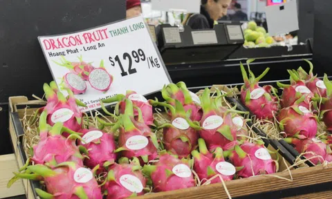 Thị trường EU vẫn còn nhiều dư địa cho trái cây Việt Nam