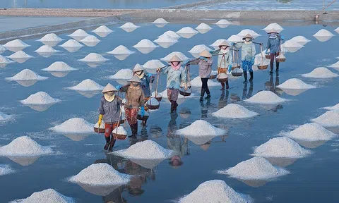 Vựa muối Ninh Hòa tồn đọng trên 10.000 tấn muối