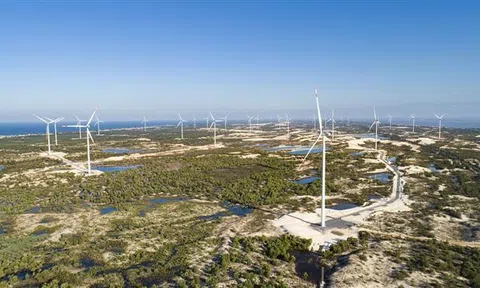 Khánh thành cụm trang trại điện gió B&T công suất 252 MW