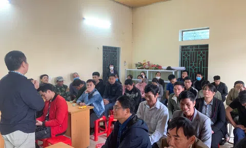 Nâng cao năng lực quản lý trang trại và marketing cho nông dân chăn nuôi theo chuỗi giá trị bò sữa tại Hà Nam