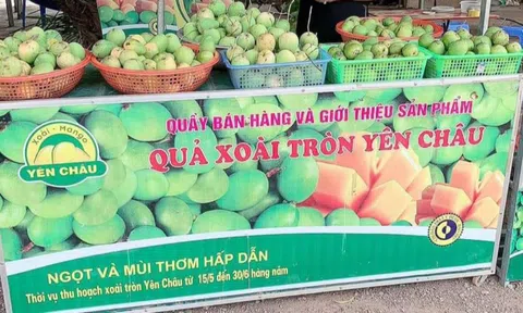 Quảng bá hình ảnh địa phương qua việc phát triển kiến thức người tiêu dùng: Kinh nghiệm từ tỉnh Sơn La