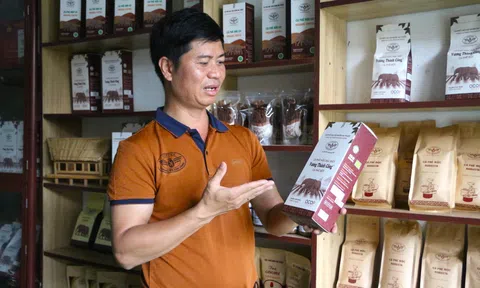 Khi công nghệ cao trở thành chìa khóa nâng tầm nông sản hữu cơ