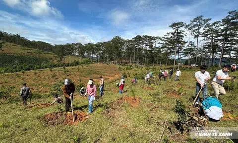 Trồng 3.400 cây xanh chào mừng Đại hội Đảng bộ tỉnh Lâm Đồng