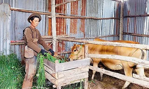 Giảm nghèo gắn với sinh kế bền vững tại tỉnh Gia Lai